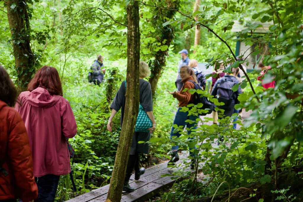 'Post-extractivist legacies and landscapes' participants in Abbeyleix Bog Project
