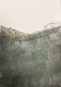 Ali-Abbeyleix-Bog-II