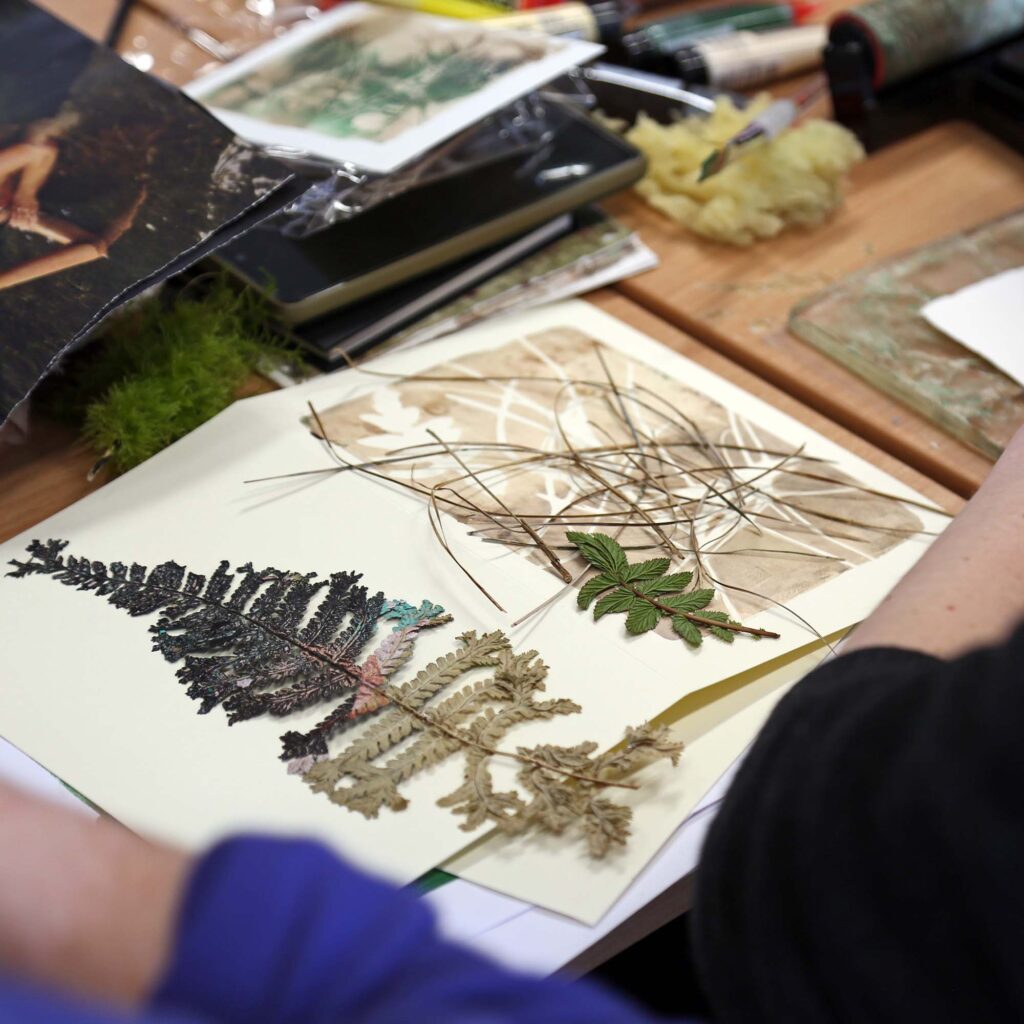 A leaf being printed onto a page